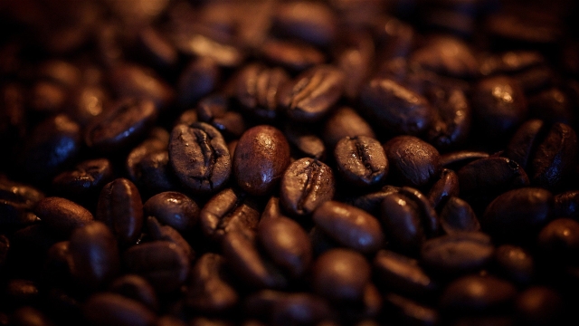 Brewing Perfection: Exploring the World of Organic Coffee Beans