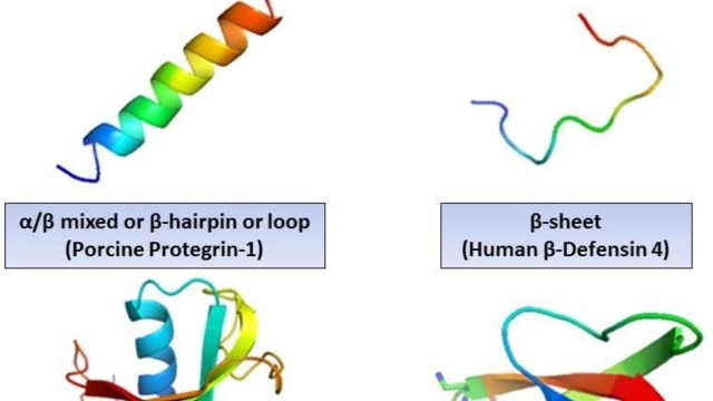 Unlocking the Power of Peptides: The Ultimate Guide