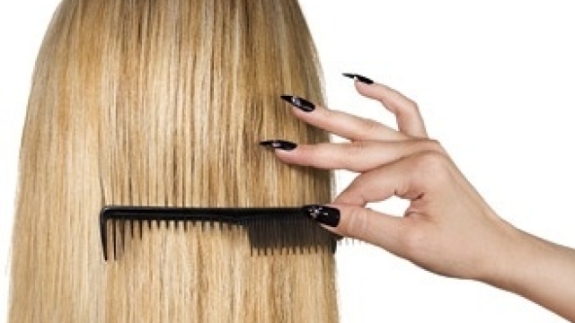 Hair Empowerment: The Role of Professionals in Certified Salons