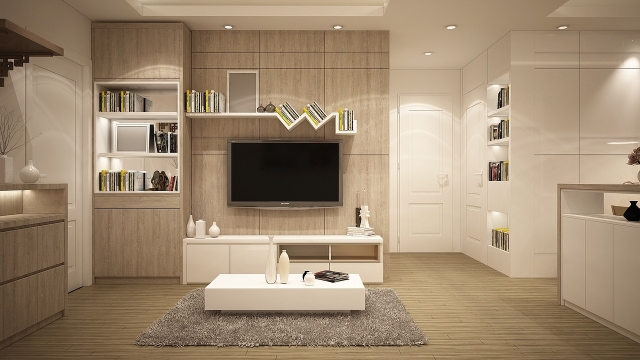 Top Pet Stain Removal Services in Orange County