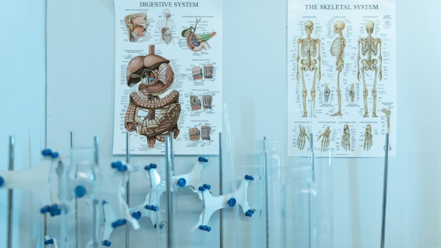 The Role of Metabolic Health in Overall Wellness