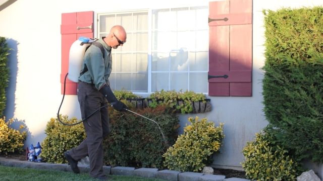 Understanding Gutter Systems The Role of Quality and Expertise