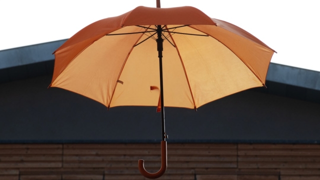 Understanding Term Life Insurance Basics and Benefits